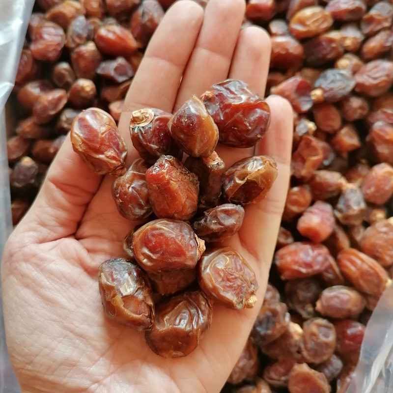 قیمت خرید خرما خاصویی درجه یک عمده به صرفه و ارزان
